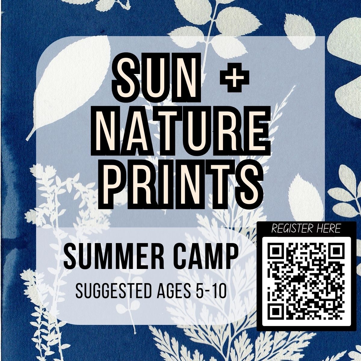 Sun + Nature Prints